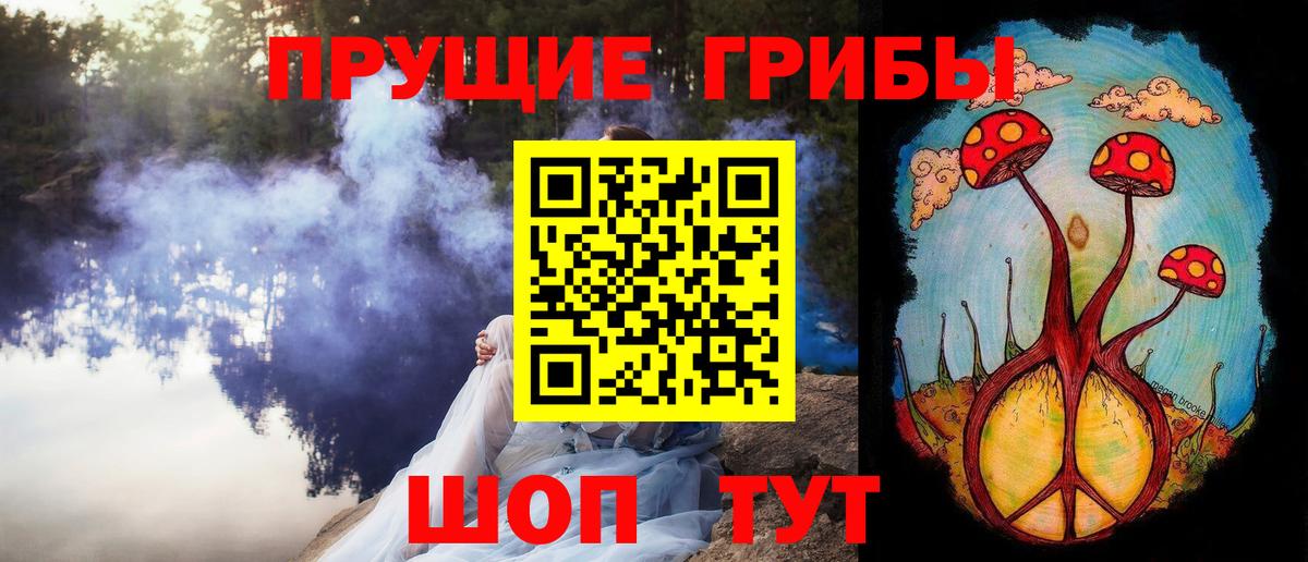Бутират Кингисепп