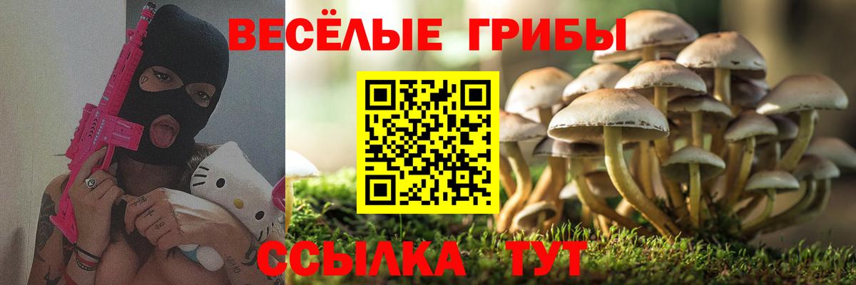 где найти наркотики  Галлюциногенные грибы Magic Shrooms  Псилоцибиновые грибы мухоморы  Вход с VPN  Кингисепп 